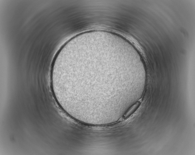 X0000111040904200907161342