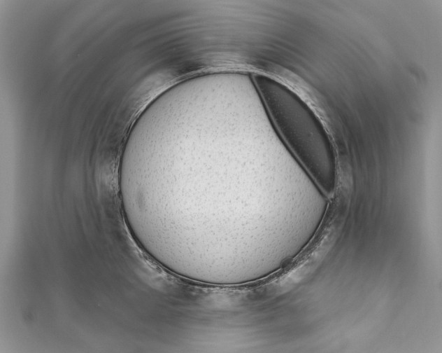 X0000111040905200907161342