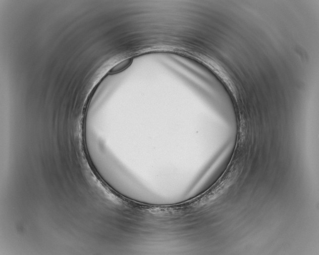 X0000111040906200907161342