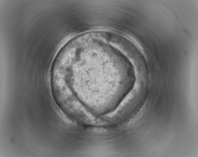 X0000111040907200907161342