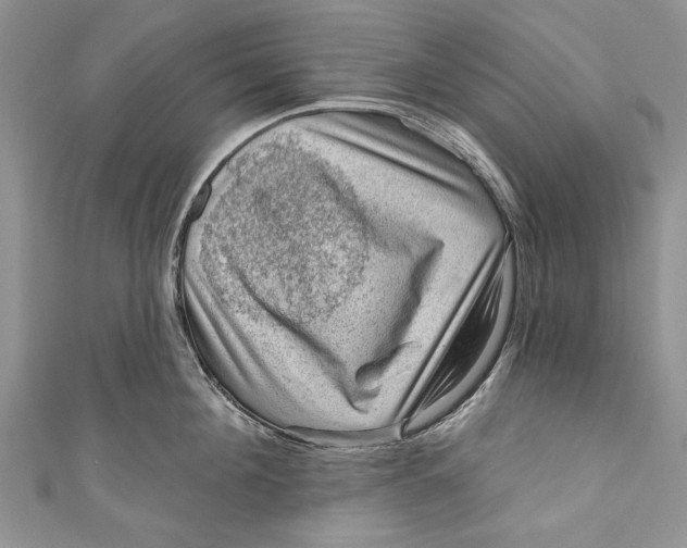 X0000111040908200907161342