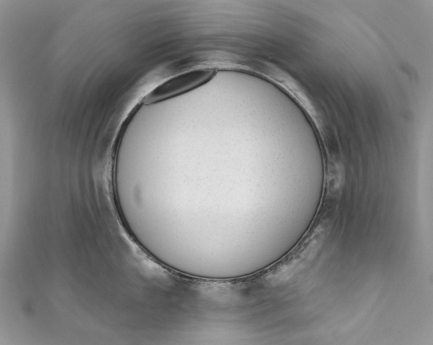 X0000111040909200907161342