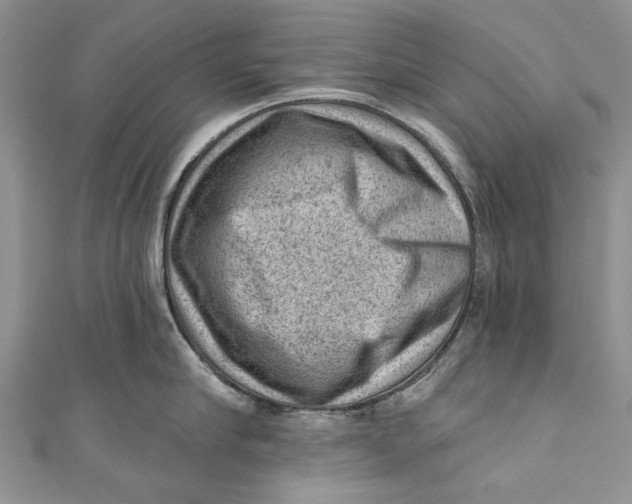 X0000111040910200907161342