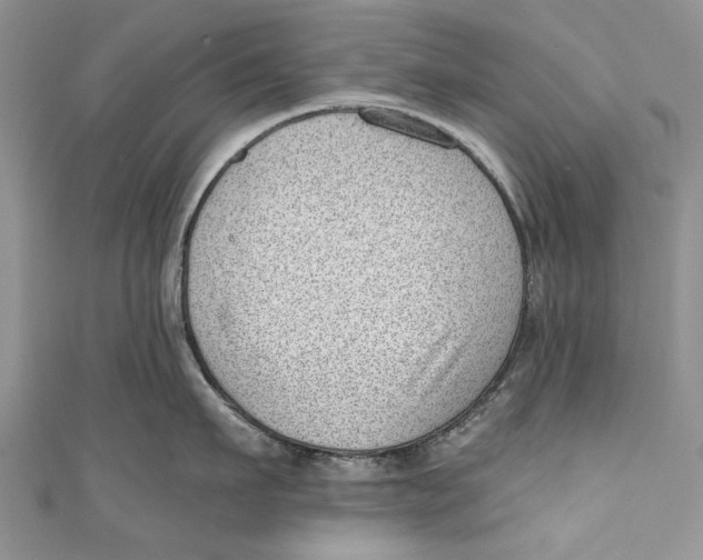 X0000111040911200907161342