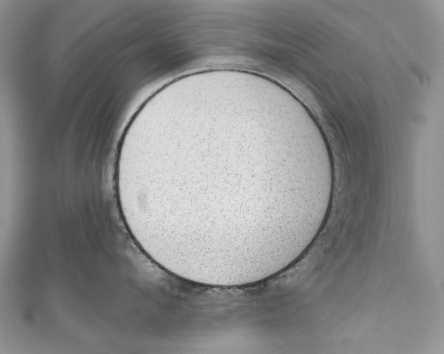 X0000111040912200907161342