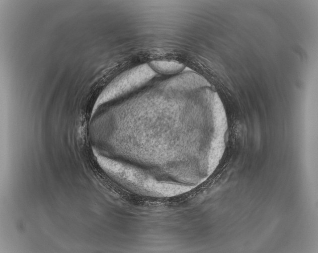 X0000111040914200907161341