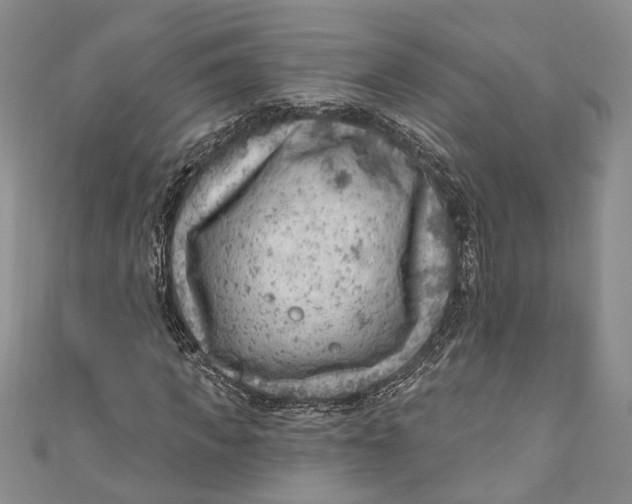 X0000111040917200907161341