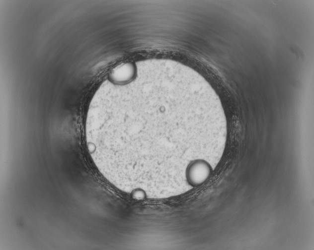 X0000111040918200907161341