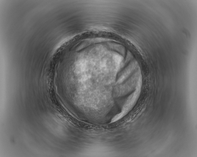 X0000111040919200907161341