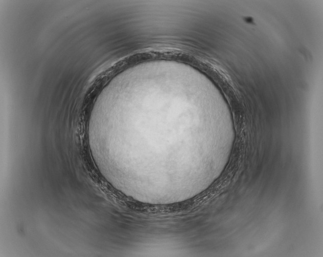 X0000111040920200907161341