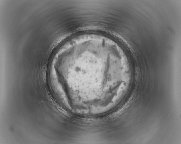 X0000111040921200907161341