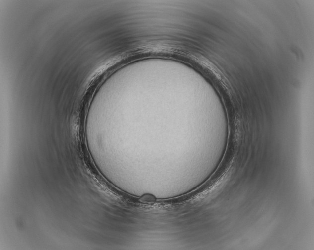 X0000111040922200907161341