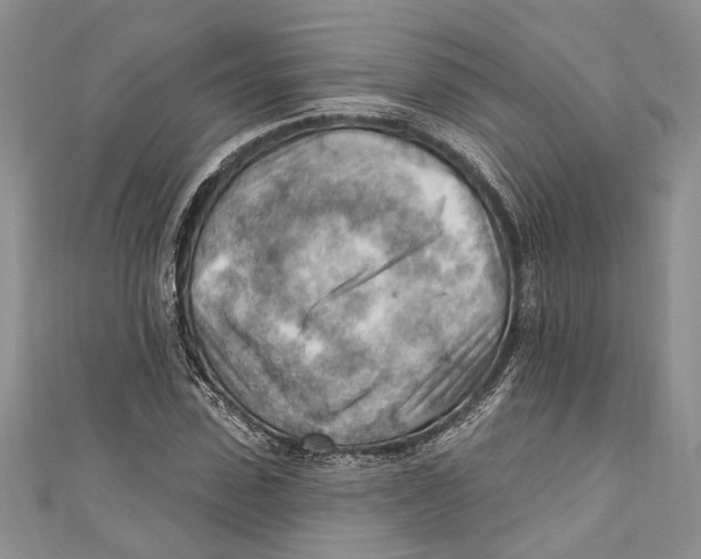 X0000111040923200907161341