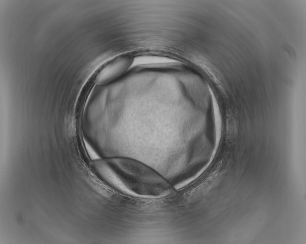 X0000111040924200907161341