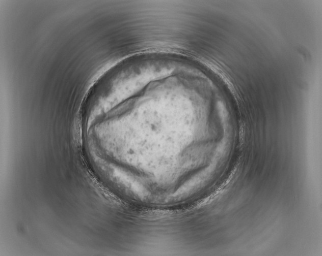 X0000111040925200907161341