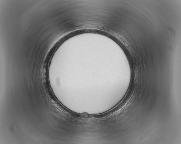 X0000111040926200907161341