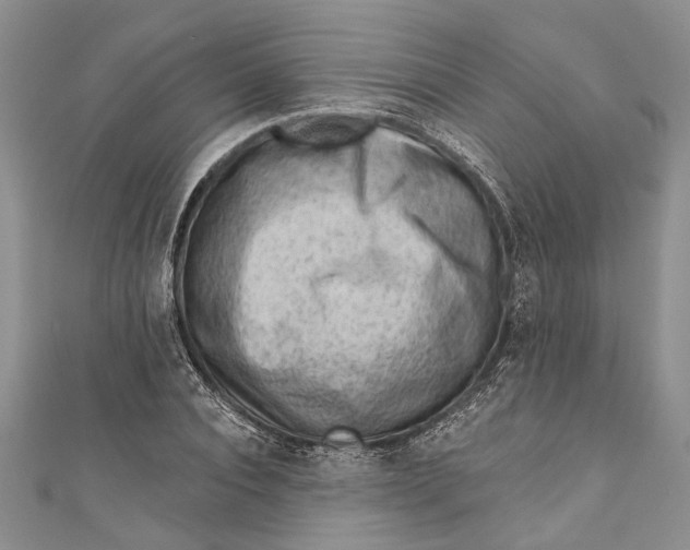 X0000111040928200907161341