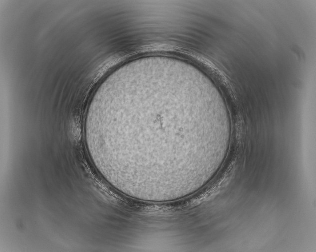 X0000111040929200907161341