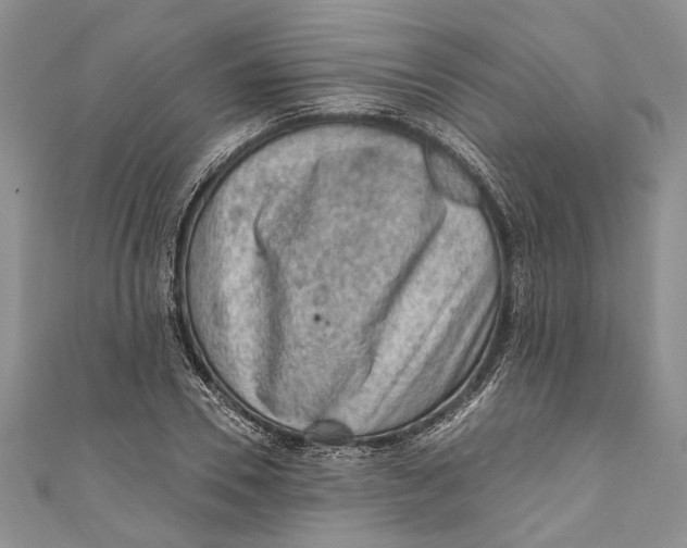 X0000111040930200907161342