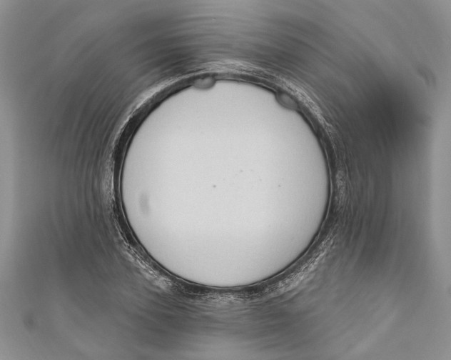 X0000111040931200907161342