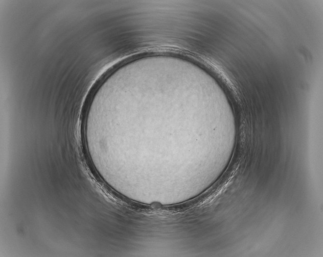 X0000111040932200907161342