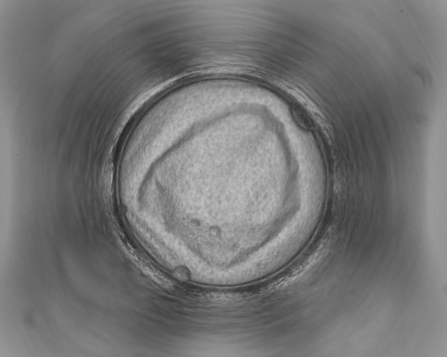 X0000111040933200907161342