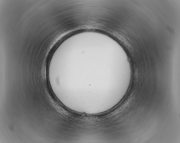 X0000111040934200907161342