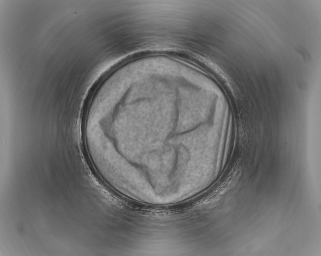 X0000111040935200907161342