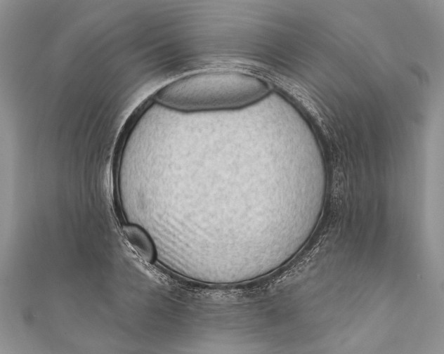 X0000111040936200907161342