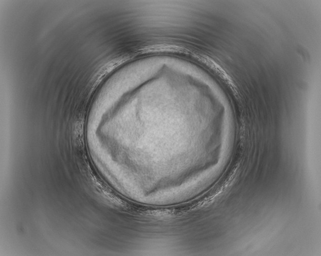 X0000111040937200907161342