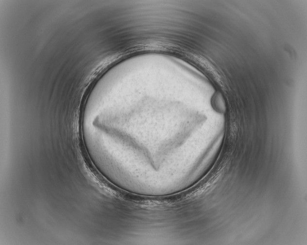 X0000111040938200907161342