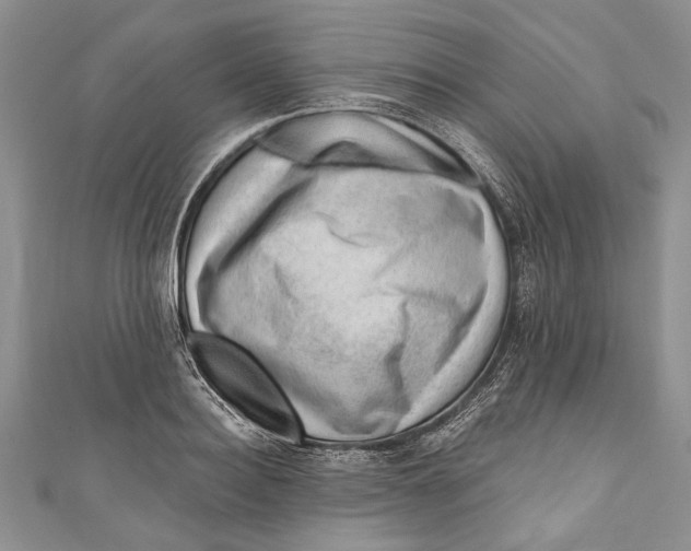 X0000111040940200907161342