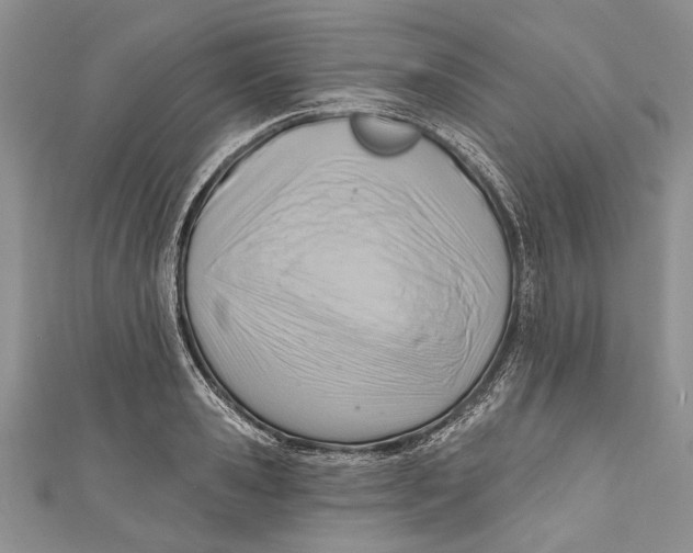 X0000111040941200907161342