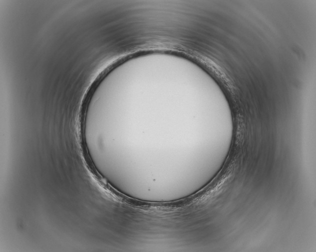 X0000111040942200907161342