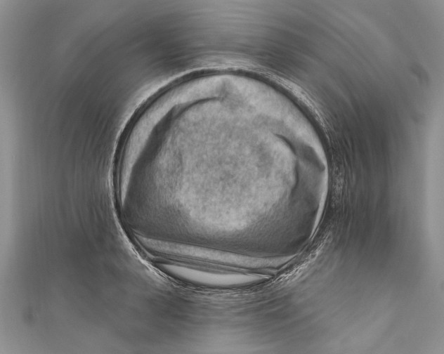 X0000111040943200907161342