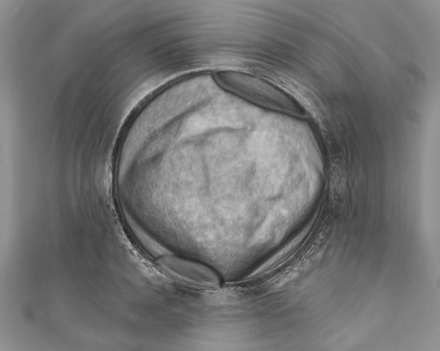 X0000111040944200907161342