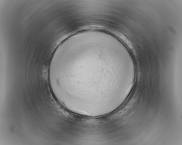 X0000111040945200907161342