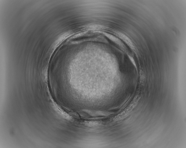 X0000111040946200907161342