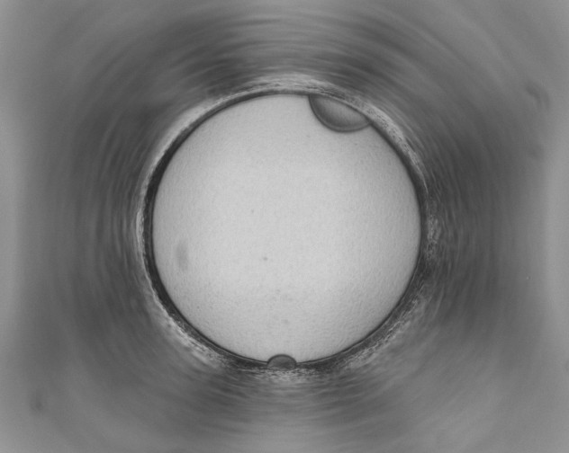 X0000111040947200907161342