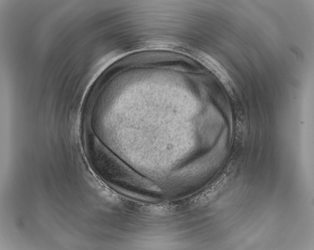 X0000111040948200907161342