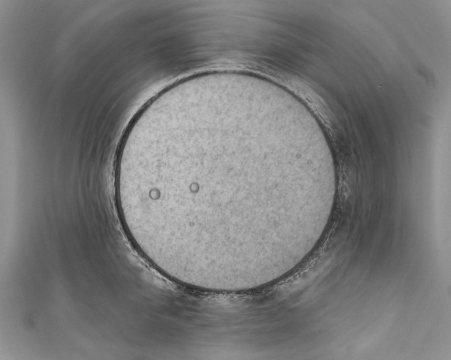 X0000111040950200907161342