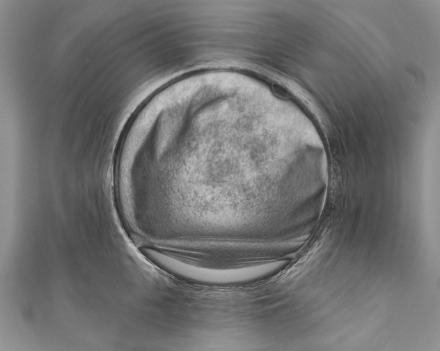 X0000111040951200907161342