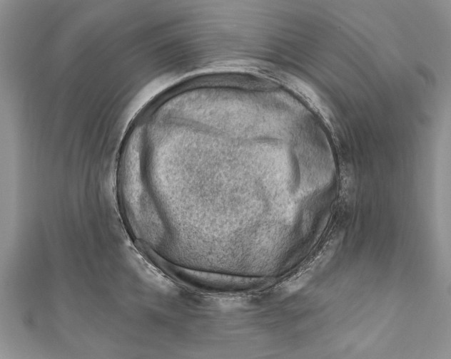 X0000111040952200907161342