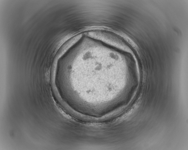 X0000111040953200907161342