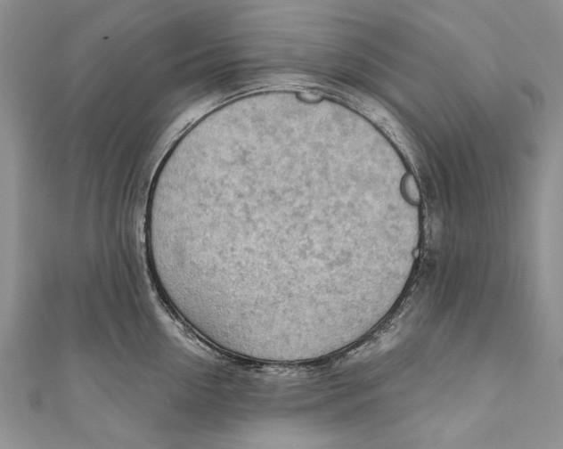 X0000111040954200907161342