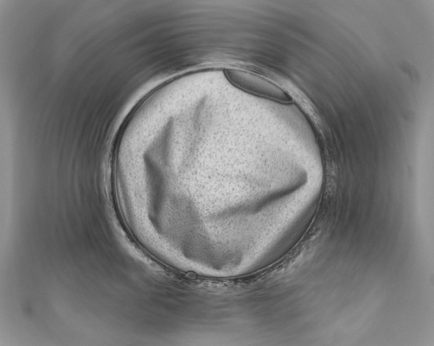 X0000111040955200907161342