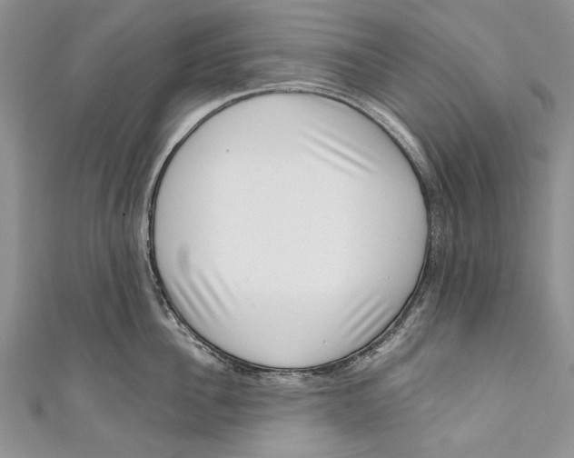 X0000111040956200907161342