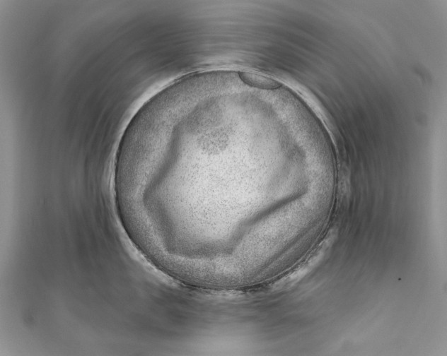 X0000111040957200907161342