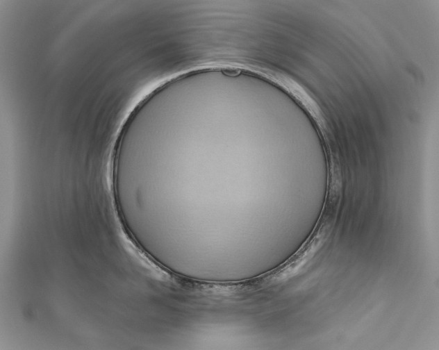 X0000111040958200907161342