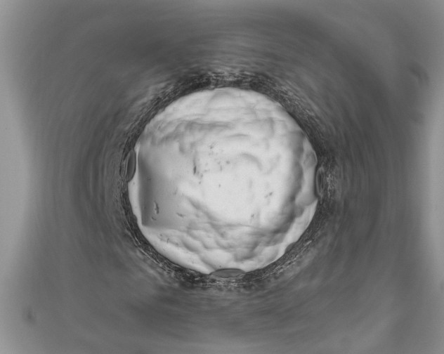 X0000111040961200907161341